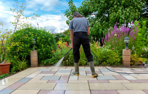 Trusted Jasper, FL Pressure washing Experts